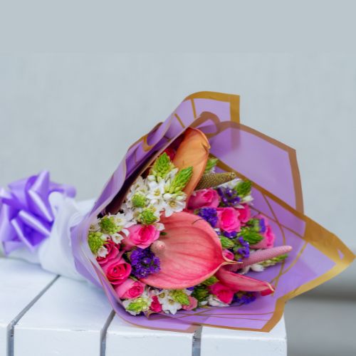 Blush Anthurium Bloom