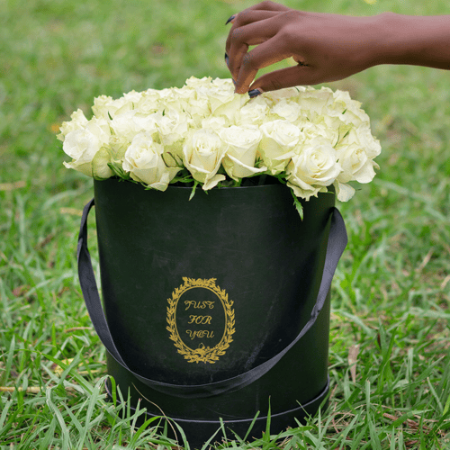 Order White Rose Whispers - Same-Day Flower Delivery Nairobi