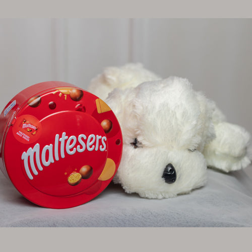 Spoil them with Teddy Bear and Maltesers Gift Hamper