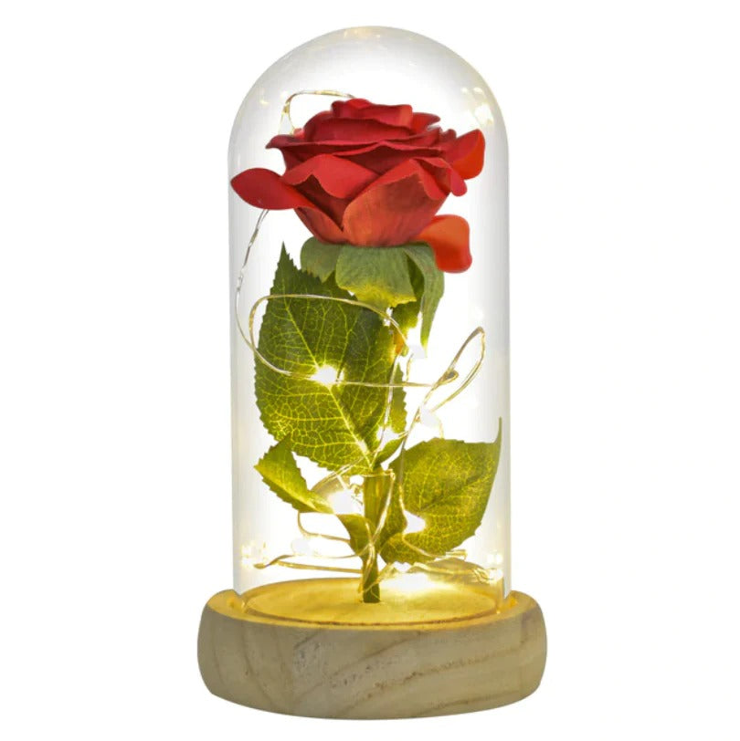 Enchanting Rose