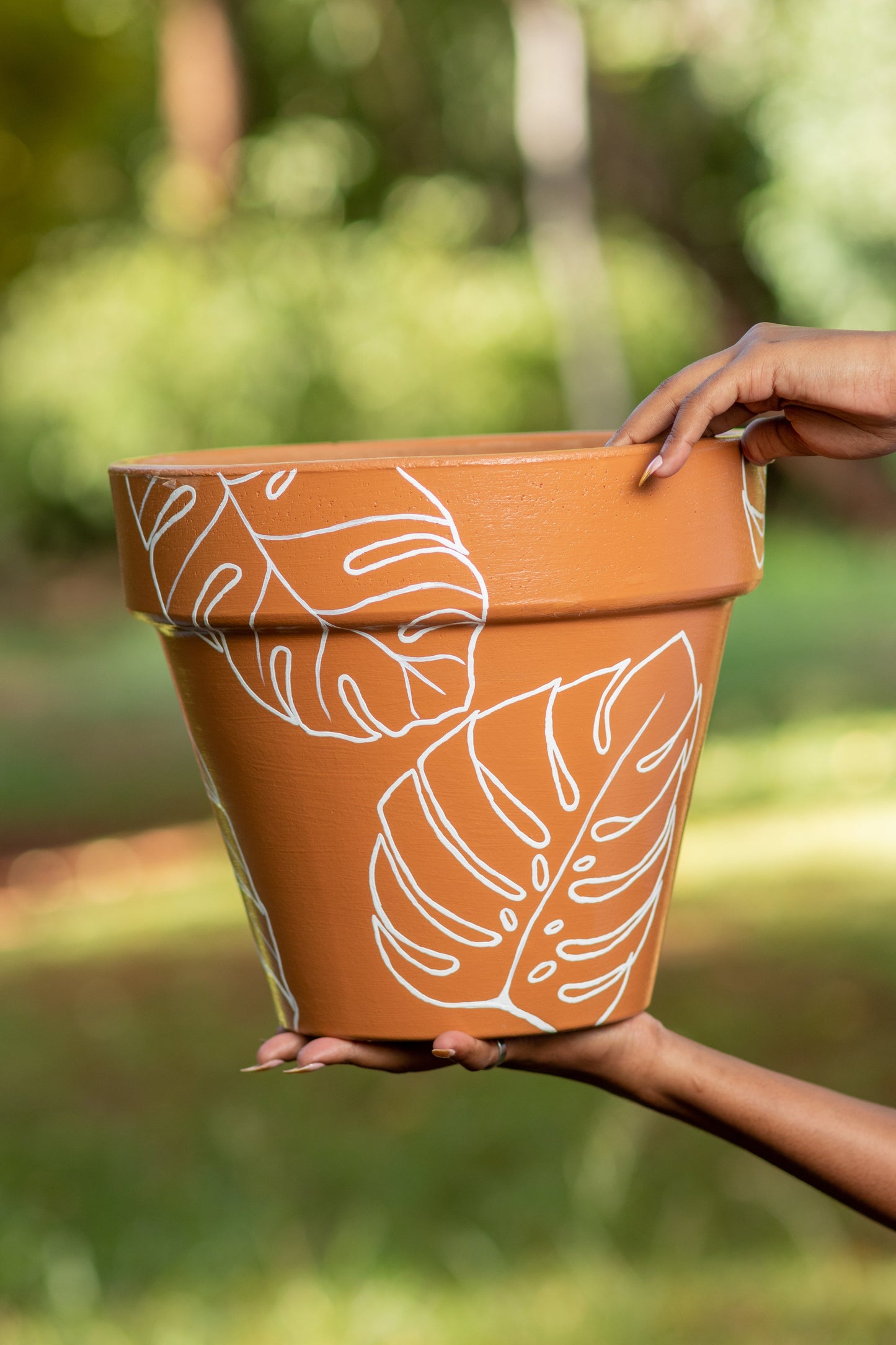 Maple pot