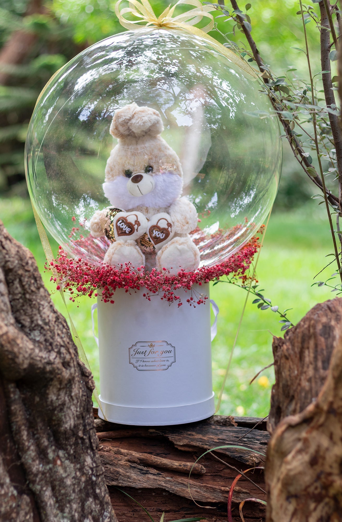 Sweet-new-born-surprise