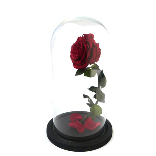 Forever Flower