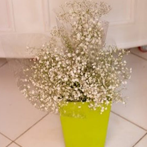 Flower mini bouquets