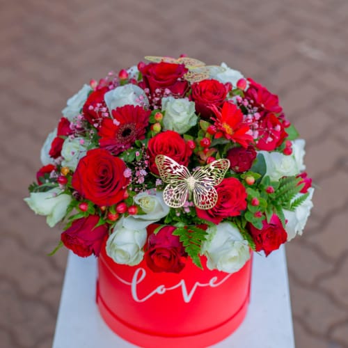 Love Symphony