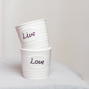 Plant Pot