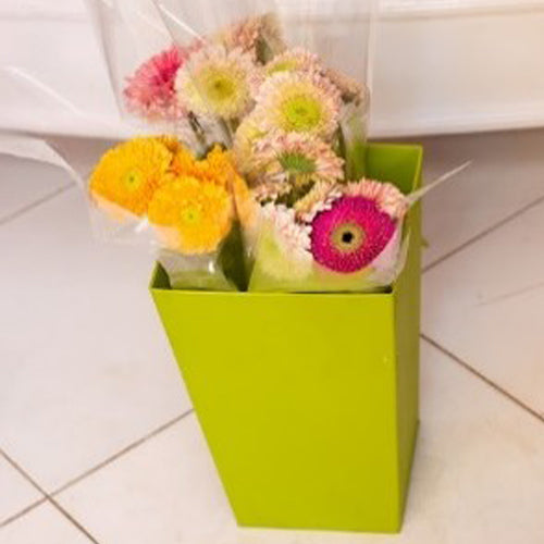 Gaberas 3 stems