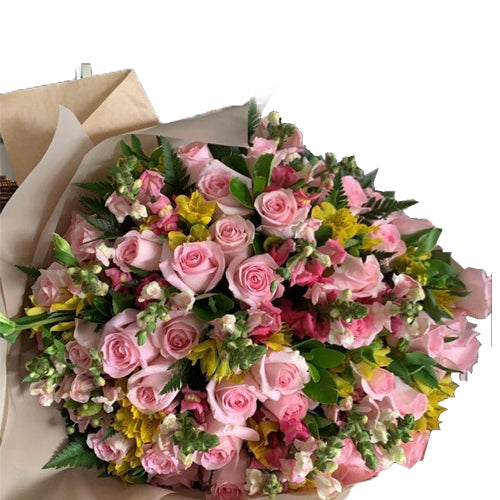 Pink Delight