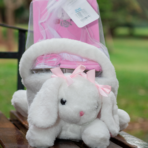 Snuggly bunny gift set