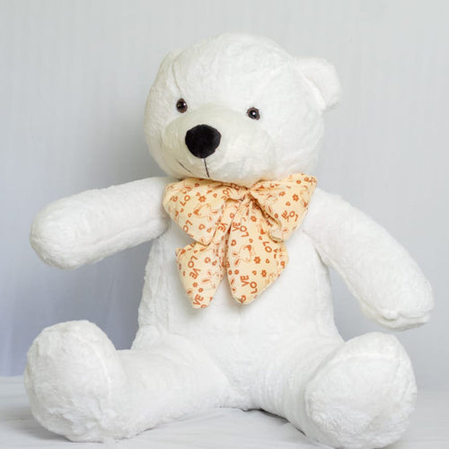 White Teddy Bear